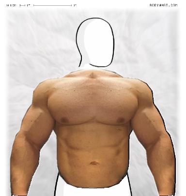 Muscle-ing up