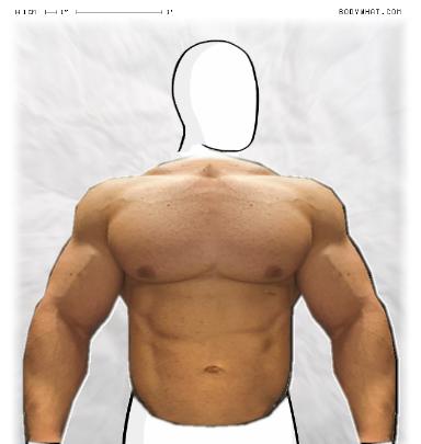 Muscle-ing up