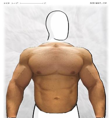 Muscle-ing up