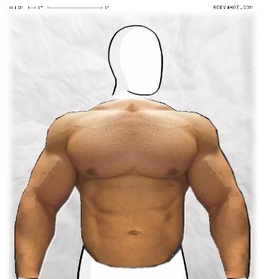 Muscle-ing up