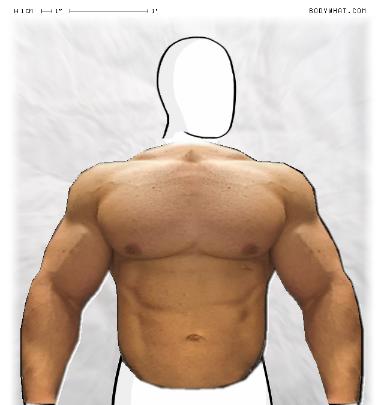 Muscle-ing up
