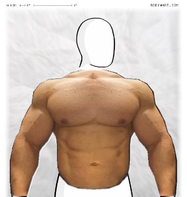 Muscle-ing up