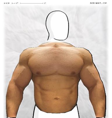 Muscle-ing up