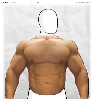 Muscle-ing up