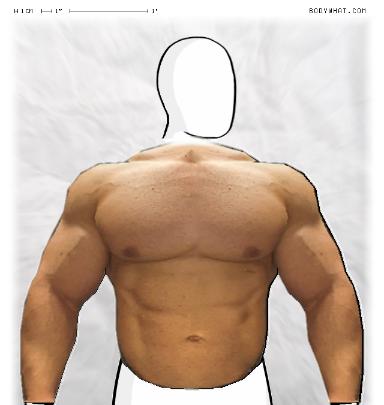 Muscle-ing up