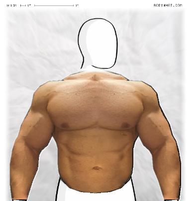 Muscle-ing up