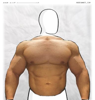 Muscle-ing up
