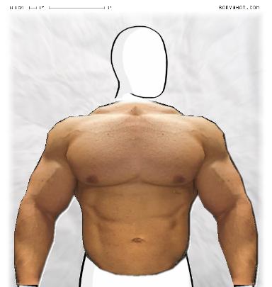 Muscle-ing up