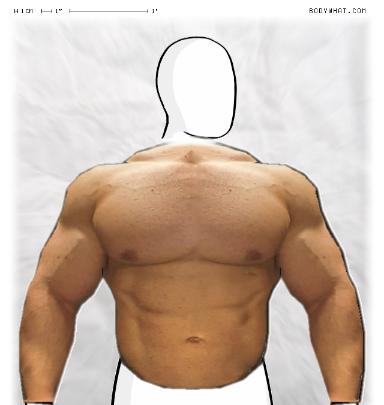 Muscle-ing up