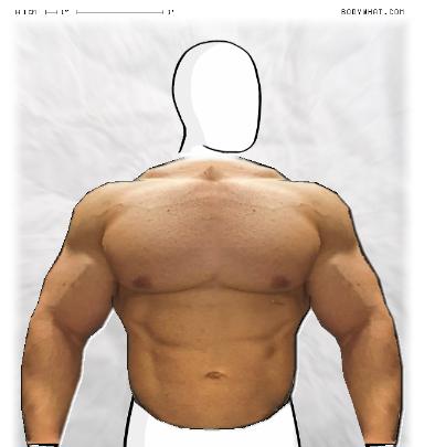Muscle-ing up
