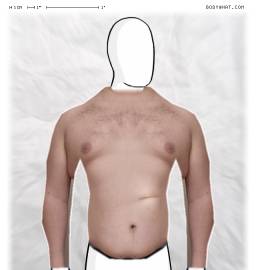 Torso