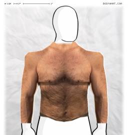 Torso