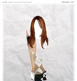 Torso