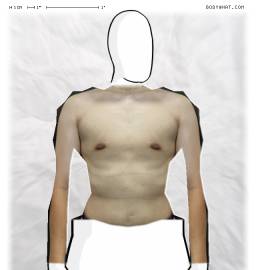 Torso