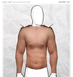 Torso