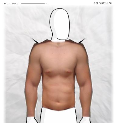 Muscle Morphing
