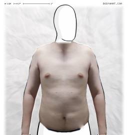Torso