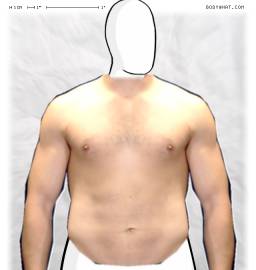 Torso
