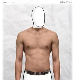 Torso