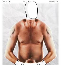Torso