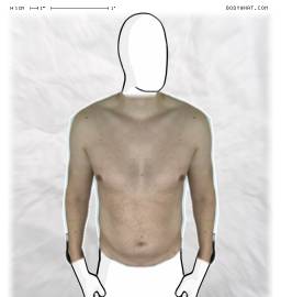 Torso