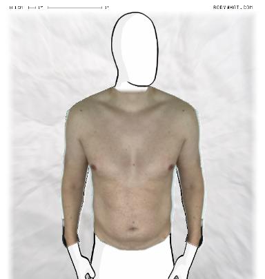 Muscle Morphing