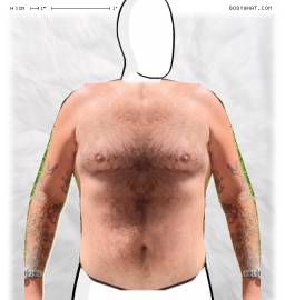 Torso