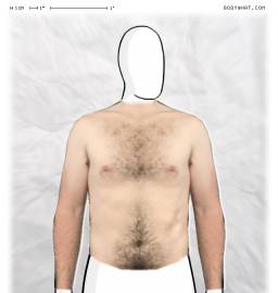 Torso