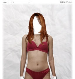 Torso