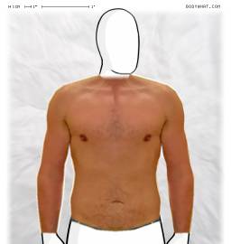 Torso