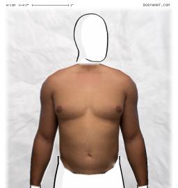 Torso