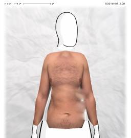 Torso