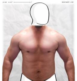 Torso