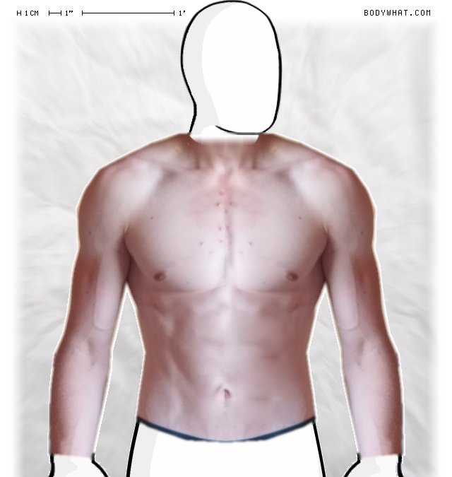 Picture 1