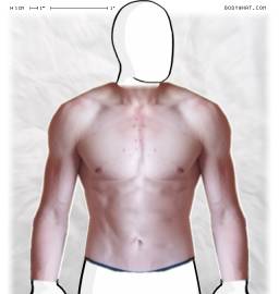 Torso