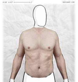 Torso