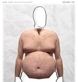 Torso