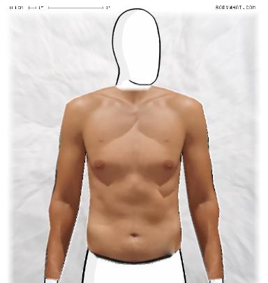 Muscle Morphing