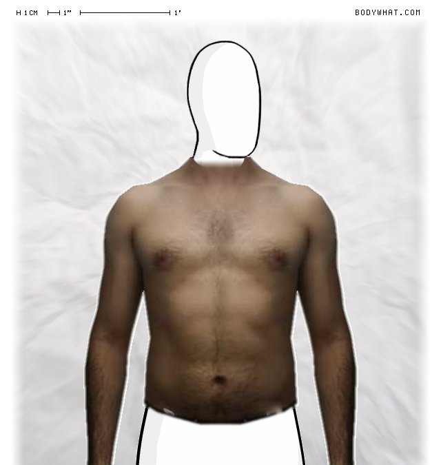 Picture 1