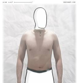 Torso