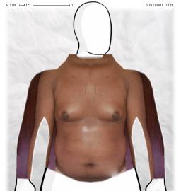 Torso
