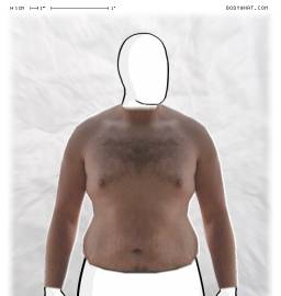 Torso