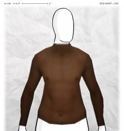Torso