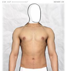 Torso