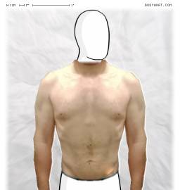 Torso