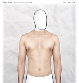Torso