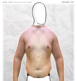 Torso