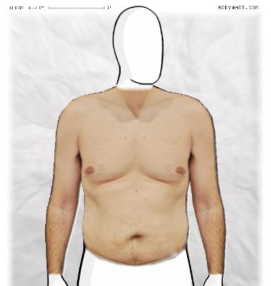 Muscle Morphing