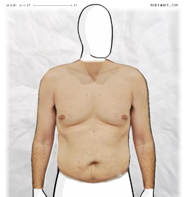 Slim Morphing
