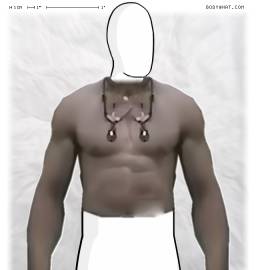 Torso